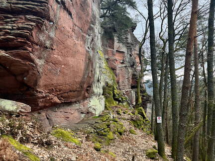 24-03-01 11-32-24 8862